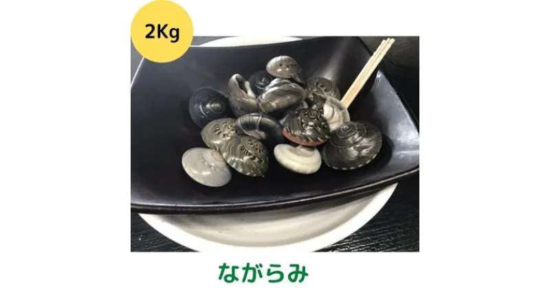 【ふるさと納税】食べたら止まらないやつ九十九里浜の“ながらみ“2kg入り　 海鮮 魚介類 魚貝類 貝 ながらみ 九十九里 酒の肴 おつまみ