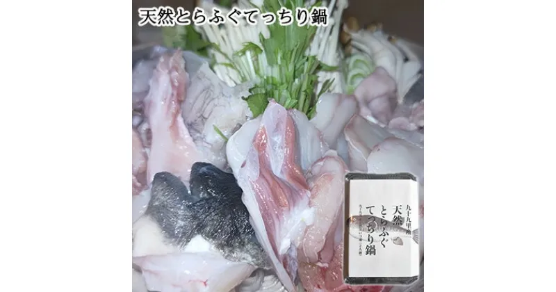 【ふるさと納税】九十九里産天然とらふぐてっちり鍋用2人前　 魚貝類 てっちり鍋用 ふぐの身 ふわふわ 旨味 濃縮 濃厚な味わい 鍋物 海鮮鍋 海鮮 魚介 海の幸 鍋用とらふぐ 鍋用ふぐの身