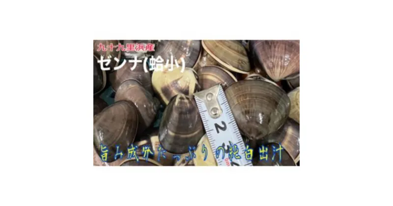 【ふるさと納税】うま味が濃い純白出汁の天然”ゼンナ”冷凍（蛤小）2kg入り　 魚貝類 旨み 濃厚な出汁 天然はまぐり 身が厚い 甘み 貝 海の幸 海鮮 国産 九十九里浜産