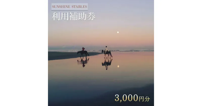 【ふるさと納税】[SUNSHINE STABLES]利用補助券（3,000円分）　体験チケット・チケット