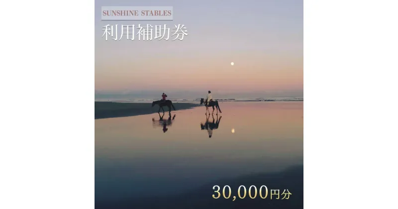 【ふるさと納税】[SUNSHINE STABLES]利用補助券（30,000円分）　体験チケット・チケット