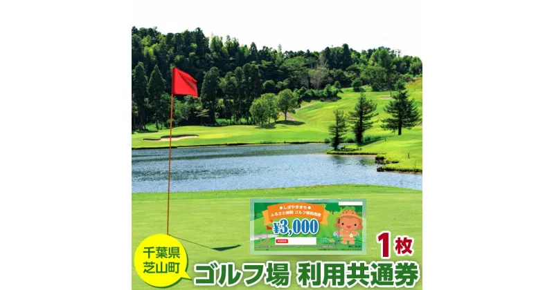 【ふるさと納税】No.001 芝山町ゴルフ場利用券　1枚 ／ golf 芝山ゴルフ倶楽部 京カントリークラブ イーグルレイクゴルフクラブ 共通チケット アウトドア 施設利用券 送料無料 千葉県