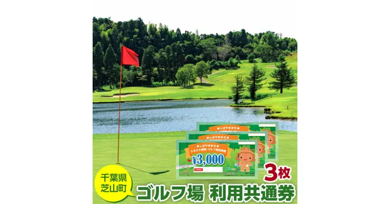 【ふるさと納税】No.003 芝山町ゴルフ場利用券　3枚 ／ golf 芝山ゴルフ倶楽部 京カントリークラブ イーグルレイクゴルフクラブ 共通チケット アウトドア 施設利用券 送料無料 千葉県