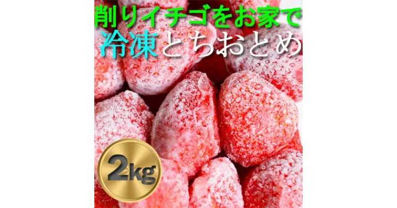 【ふるさと納税】農家直送!削りイチゴパフェも楽しめるBELL FARMの美味しい冷凍いちご2kg【苺1kg×2箱】【配送不可地域：離島】【1013445】