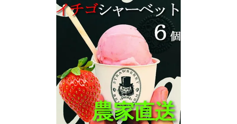 【ふるさと納税】農家直送!BELL FARMの美味しい苺シャーベット　2種×3　6個セット【配送不可地域：離島】【1384266】