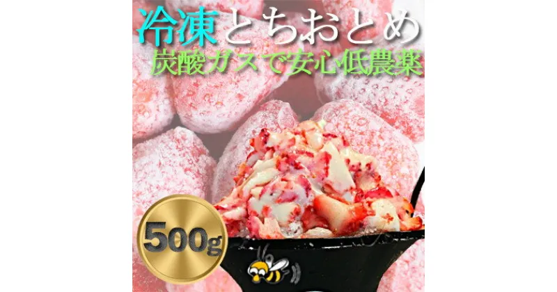 【ふるさと納税】農家直送だから苺本来の美味しさ!BELL FARMの冷凍 いちご500g 収穫当日冷凍の苺【配送不可地域：離島】【1506089】