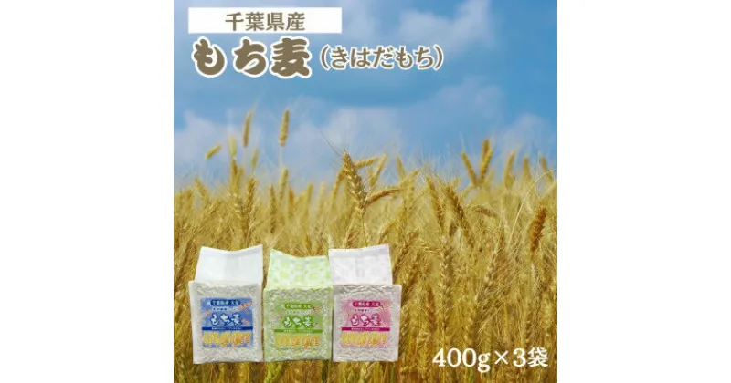 【ふるさと納税】もち麦セット　食物繊維たっぷりの「もち麦」(きはだもち) 400g×3袋 千葉県横芝光町産【1522910】