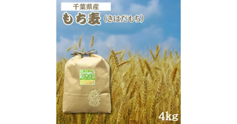 【ふるさと納税】食物繊維たっぷりの『もち麦』(きはだもち) 4kg 千葉県横芝光町産　もち麦ごはん【1522911】