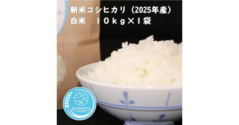 【ふるさと納税】千葉県一宮町産コシヒカリ（白米10kg）令和7年産米　2025年発送分　10kg×1袋 　一等米　白米　精米　先行予約