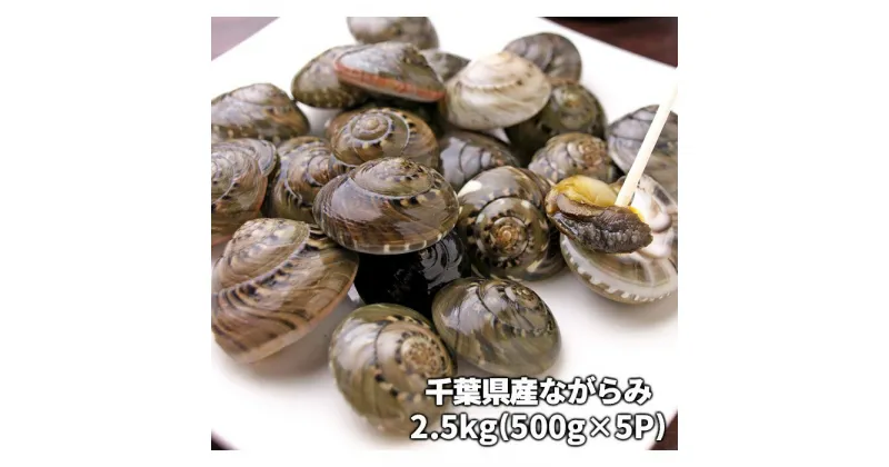 【ふるさと納税】千葉県産ながらみ 2.5kg 冷凍 貝 天然 魚介 特産 おつまみ ふるさと 納税 九十九里 千葉県 長生村