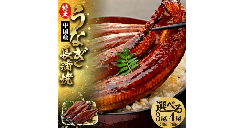 【ふるさと納税】特大うなぎ長蒲焼 570g〜760g 冷凍 鰻 うなぎ ウナギ 3尾 蒲焼き 蒲焼 タレ 真空パック お取り寄せ グルメ うな重 ひつまぶし ふるさと 納税 千葉県 長生村