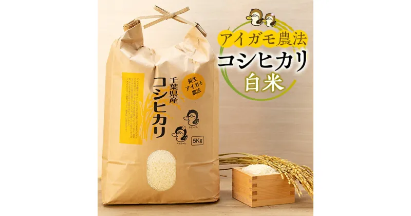 【ふるさと納税】アイガモ農法によるお米 5kg〜15kg 白米 コシヒカリ こしひかり 合鴨農法 合鴨 アイガモ 農法 米 合鴨米 ふるさと 納税 千葉県 長生村