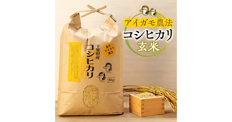 【ふるさと納税】アイガモ農法によるお米 5.5kg〜60kg 玄米 コシヒカリ こしひかり 合鴨農法 合鴨 アイガモ 農法 米 合鴨米 ふるさと 納税 千葉県 長生村