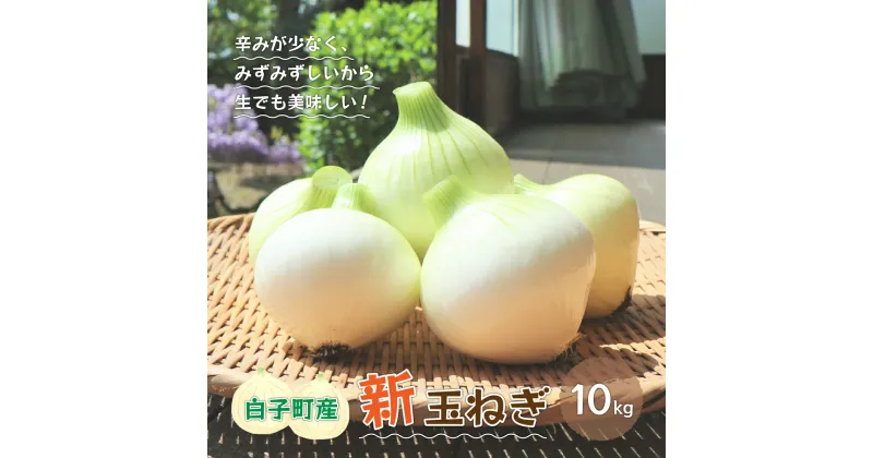 【ふるさと納税】【令和7年の先行予約募集・数量限定】生で食べても美味しい！白子産の新玉ねぎ10kg ふるさと納税 たまねぎ 玉ねぎ 白子玉ねぎ スライス サラダ 健康 味噌汁 数量限定 先行予約 令和7年発送 2025年発送 千葉県 白子町 送料無料 SHK001