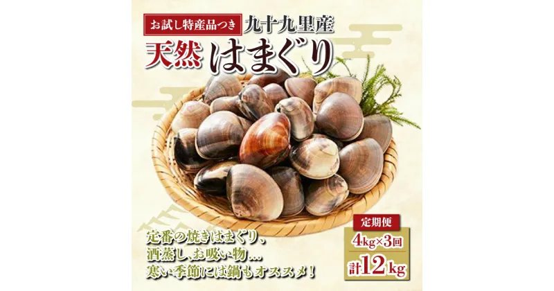 【ふるさと納税】＜定期便＞ 九十九里産 大粒 はまぐり4.0kg×3回 計12kg ふるさと納税 はまぐり 蛤 天然 定期 節句 ひな祭り ひなまつり 手土産 送料無料 SHF004