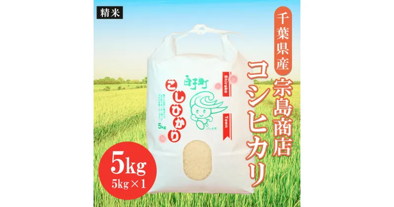 【ふるさと納税】令和6年産 千葉県産 コシヒカリ（精米）5kg ふるさと納税 お米 5kg 千葉県産 白子町 コシヒカリ 米 精米 こめ 年越し おせち お餅 新年 お雑煮 送料無料 SHM001