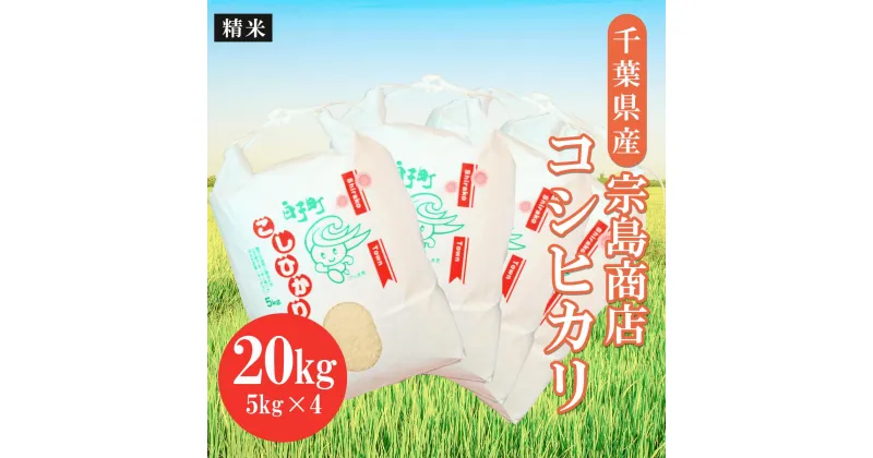 【ふるさと納税】令和6年産　千葉県産 コシヒカリ（精米）20kg ふるさと納税 お米 20kg 千葉県産 白子町 コシヒカリ 米 精米 こめ 年越し おせち お餅 新年 お雑煮 送料無料 SHM003