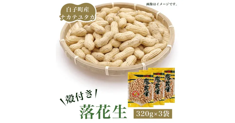 【ふるさと納税】【先行予約】白子町産ナカテユタカ 殻付き落花生 320g×3袋（A）2024年10月下旬～発送予定 ふるさと納税 落花生 落花 殻付き ナカテユタカ 3袋 千葉県 白子産 ピーナッツ バター 千葉県 おやつ コーヒー 年越し おせち 手土産 送料無料 SHJ001