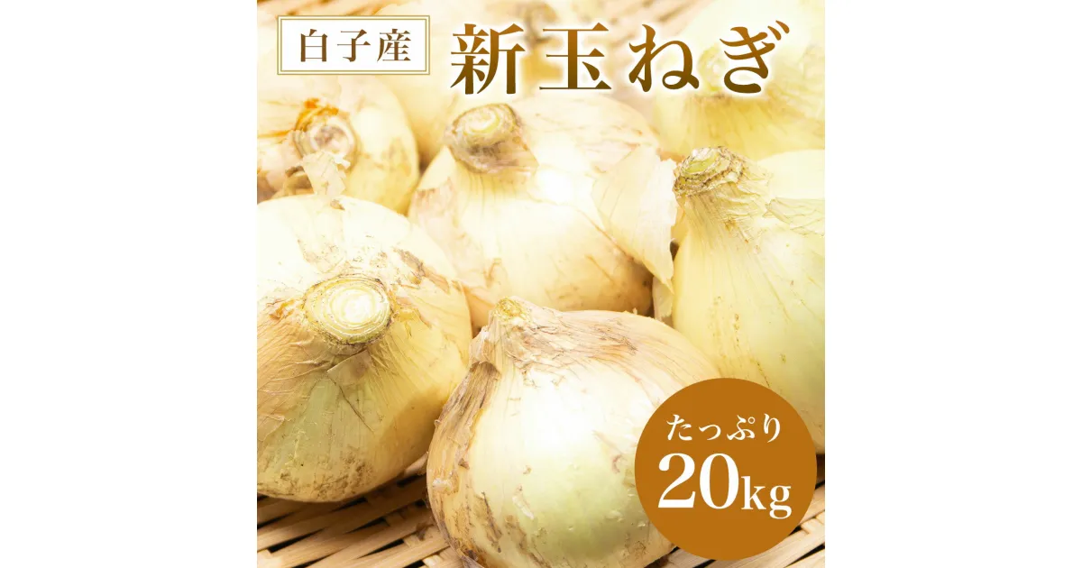 【ふるさと納税】【令和7年の先行予約】数量限定　白子産 新玉ねぎ 20kg ふるさと納税 たまねぎ 玉ねぎ 白子玉ねぎ スライス サラダ 健康 味噌汁 数量限定 令和7年発送 2025年発送千葉県 白子町 送料無料 SHAH001