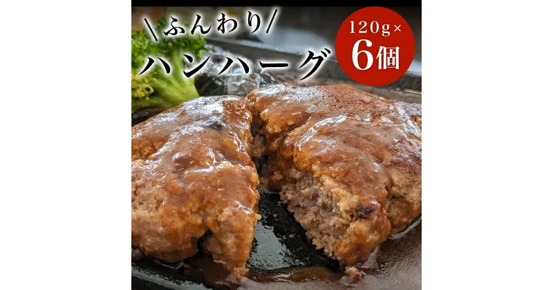 【ふるさと納税】ハンハーグ　120g×6個 ふるさと納税 ハンバーグ デミグラス お惣菜 千葉県 白子町 送料無料 SHAF005