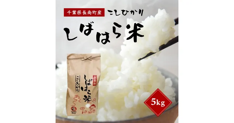 【ふるさと納税】【新米】令和6年産米 千葉県産コシヒカリ「しばはら米」5kg(精米) ふるさと納税 コシヒカリ 米 精米 こめ 千葉県 長南町 CNA001