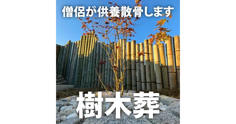 【ふるさと納税】樹木葬散骨 ふるさと納税 供養 お墓 樹木葬 散骨 献花 お祈り 先祖 命日 お盆 お彼岸カンシャ 千葉県 大多喜町 送料無料 SK55003