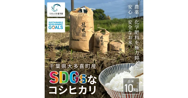 【ふるさと納税】【新米】令和6年産 「SDGsなコシヒカリ」白米10kg / 米 こめ コメ 白米 精米 こしひかり コシヒカリ 籠米 バスケットボール esDGs OTAKI.EXE SDGs 大多喜町 千葉県