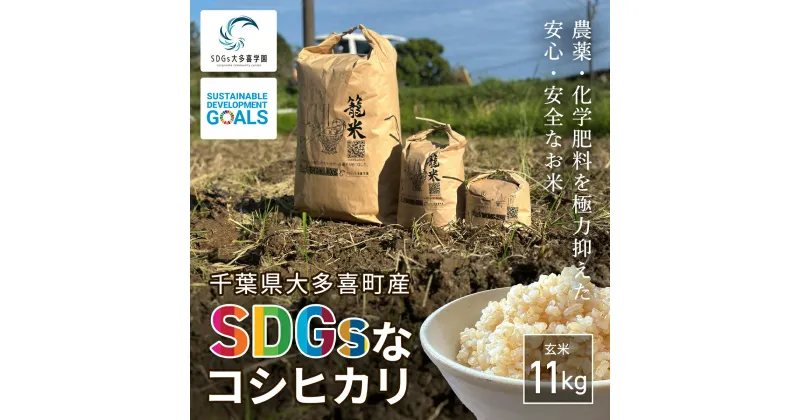 【ふるさと納税】W01702 【新米】令和6年産 「SDGsなコシヒカリ」玄米11kg / 米 こめ コメ 玄米 こしひかり コシヒカリ 籠米 バスケットボール esDGs OTAKI.EXE SDGs 大多喜町 千葉県