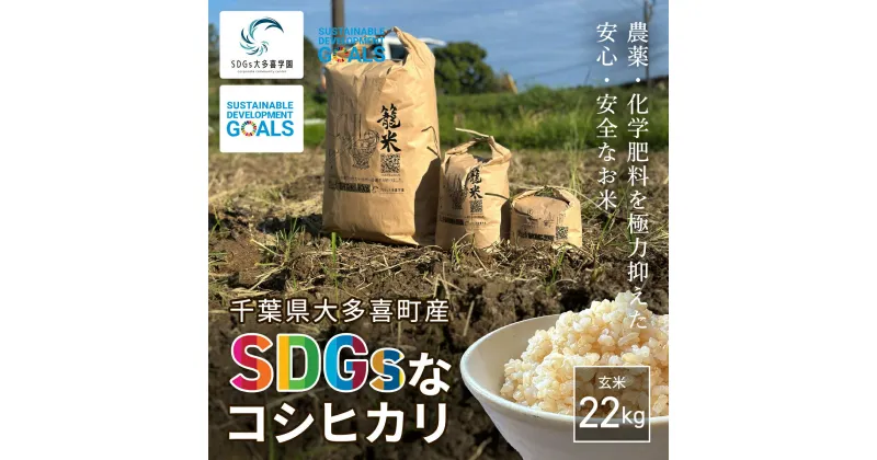 【ふるさと納税】W03402 【新米】令和6年産 「SDGsなコシヒカリ」玄米22kg / 米 こめ コメ 玄米 こしひかり コシヒカリ 籠米 バスケットボール esDGs OTAKI.EXE SDGs 大多喜町 千葉県