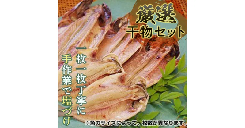 【ふるさと納税】《手塩づけ》厳選干物セット ／ 魚 ひもの 加工品 手塩づくり 千葉県 特産 鋸南町 提灯屋干物店 F22X-009