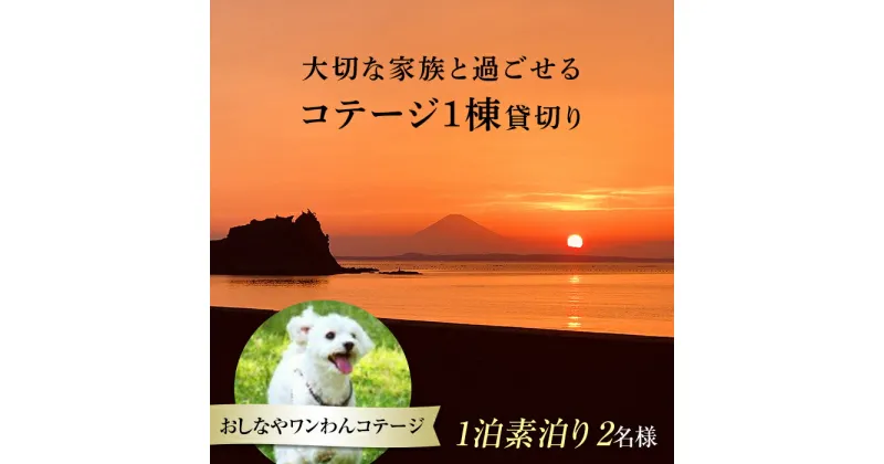 【ふるさと納税】1棟貸切りおしなやワンわんコテージ1泊素泊り2名様宿泊券 ／ 旅行 ペット同伴 ドッグラン 犬 猫 千葉県 F22X-025