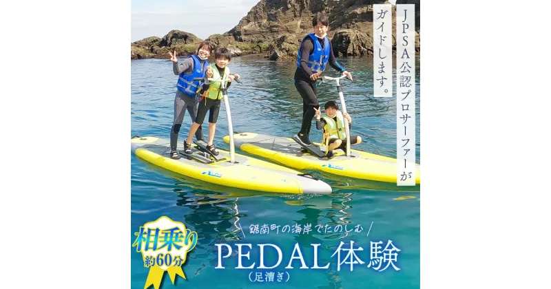 【ふるさと納税】PEDAL（足漕ぎ）SUP体験（約60分） F22X-088