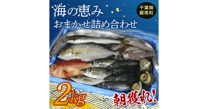 【ふるさと納税】朝獲れ！海の恵みおまかせ詰め合わせセット 2kg 魚介 海鮮 魚 処理済み 千葉県 鋸南町 F22X-114