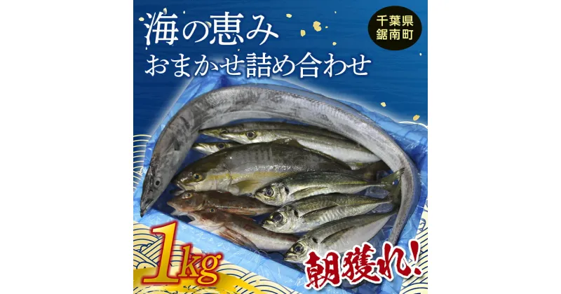 【ふるさと納税】朝獲れ！海の恵み おまかせ 詰め合わせセット 1kg 魚介 海鮮 魚 処理済み 千葉県 鋸南町 F22X-113