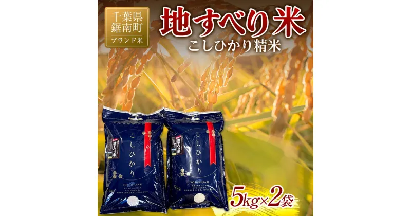 【ふるさと納税】令和6年度産 新米 【ブランド米】地すべり米 こしひかり 精米 10kg（5kg×2袋）白米 お米 ご飯 米 千葉県 鋸南町 F22X-129