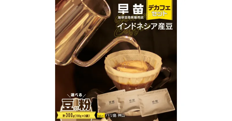 【ふるさと納税】【早苗】焙煎珈琲豆（インドネシア産 デカフェセット100g×3） コーヒー 珈琲 セット デカフェ ディカフェ カフェインレス まろやか 妊婦 小分け ジッパー チャック付き 100g 豆 粉 東京 新宿 0020-004-S05