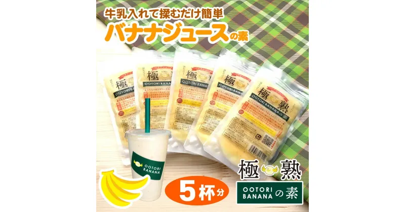 【ふるさと納税】【人気店 新宿OOTORI】極熟★OOTORIバナナの素 100g（5個セット）