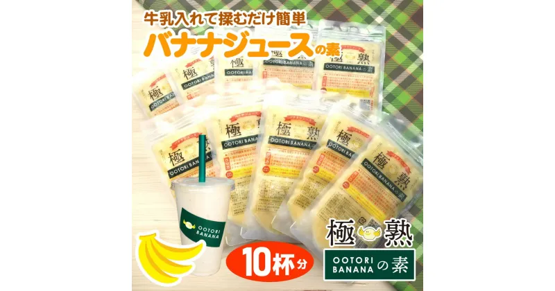 【ふるさと納税】【人気店 新宿OOTORI】極熟★OOTORIバナナの素 100g（10個セット）