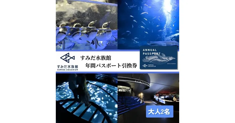 【ふるさと納税】チケット 東京 すみだ水族館 年間パスポート引換券 大人2名 ペアチケット 入場券 優待券 年パス 旅行 SKYTREE　チケット 水族館 年間パスポート 入場券 優待券