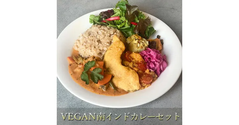 【ふるさと納税】【冷凍】VEGAN南インドカレーセット　 カレー 本格的 南インド 総菜 レトルト 冷凍 ヴィーガン ベジタリアン 植物性素材だけ インドカレー 辛味は控え目