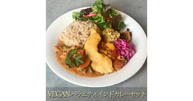 【ふるさと納税】インドカレー VEGAN バラエティ インド カレー 食べ比べ セット 冷凍 レトルト 詰め合わせ 温めるだけ 惣菜 おかず 野菜カレー ヴィーガン 食 ベジタリアン ベジタリアンカレー インド料理 ヘルシー 健康 美容 東京 東京都 墨田区