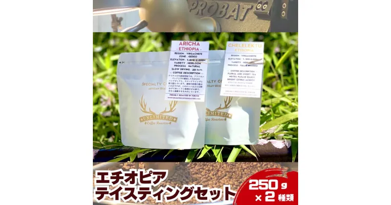 【ふるさと納税】エチオピア テイスティングセット 250g × 2種類　粉：中挽き ドリンク コーヒー スペシャルティコーヒー　0