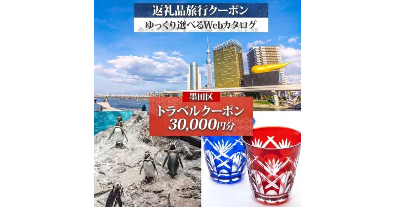 【ふるさと納税】墨田区 後から選べる旅行Webカタログで使える！ 旅行クーポン（30,000円分） 旅行券 宿泊券 体験サービス券　墨田区