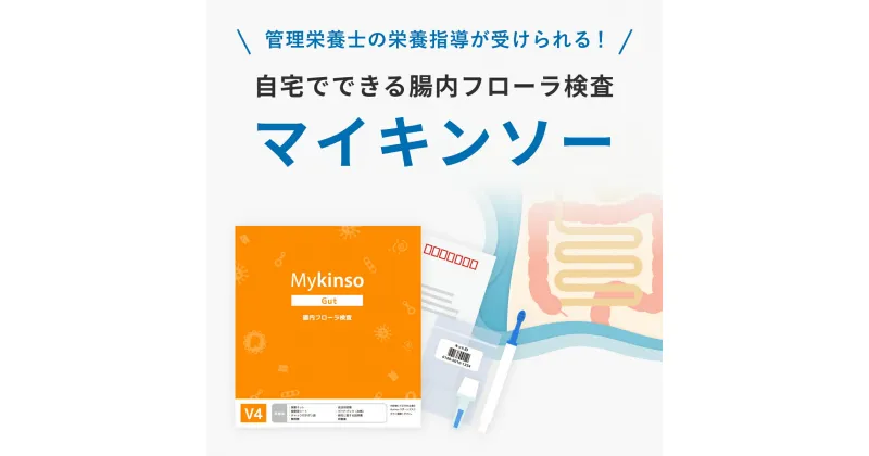 【ふるさと納税】腸内フローラ検査を用いた管理栄養士による栄養指導 60000円 6万円 六万円