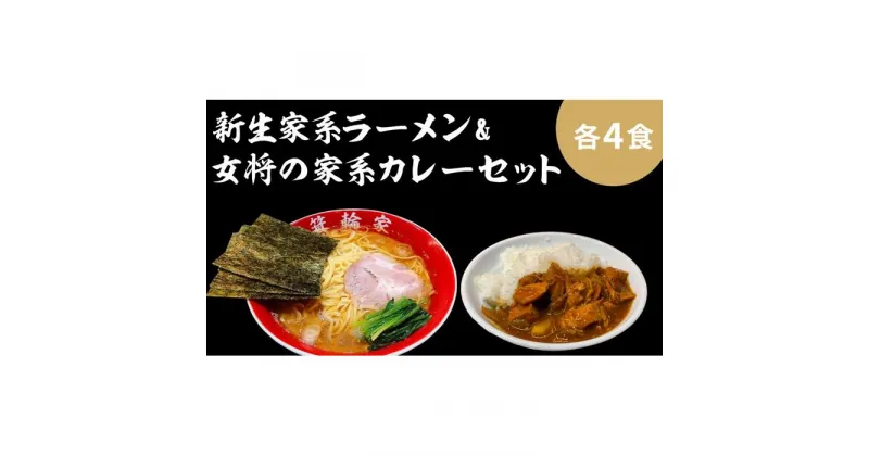 【ふるさと納税】箕輪家ラーメン(麺150g、スープ250cc、海苔3枚×4食セット）・特製箕輪家カレー(4食) | 麺 食品 加工食品 人気 おすすめ