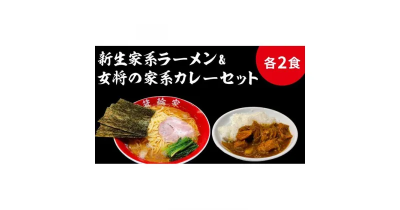 【ふるさと納税】箕輪家ラーメン(麺150g、スープ250cc、海苔3枚×2食セット）・特製箕輪家カレー(2食) | 麺 食品 加工食品 人気 おすすめ