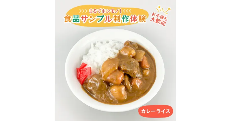 【ふるさと納税】食品サンプル 制作 体験 カレーライス　体験チケット