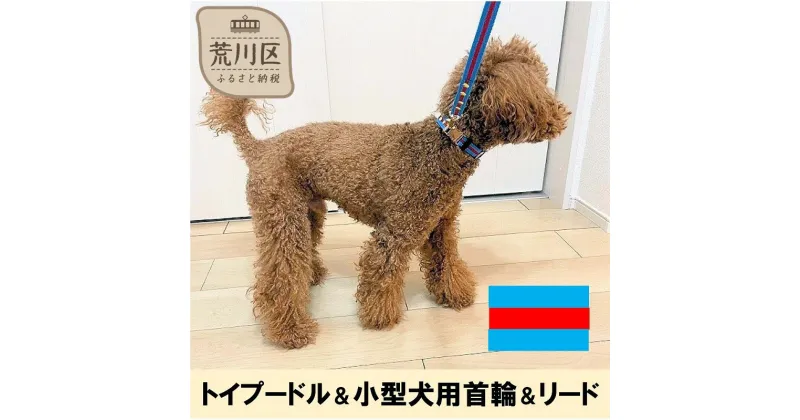 【ふるさと納税】トイプードル及び小型犬用カラー（首輪）＆リード(カラー：水色・赤・水色)【001-005】