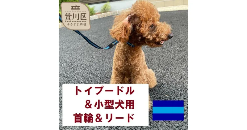 【ふるさと納税】トイプードル及び小型犬用カラー（首輪）＆リード(カラー：紺・水色・紺)【001-006】