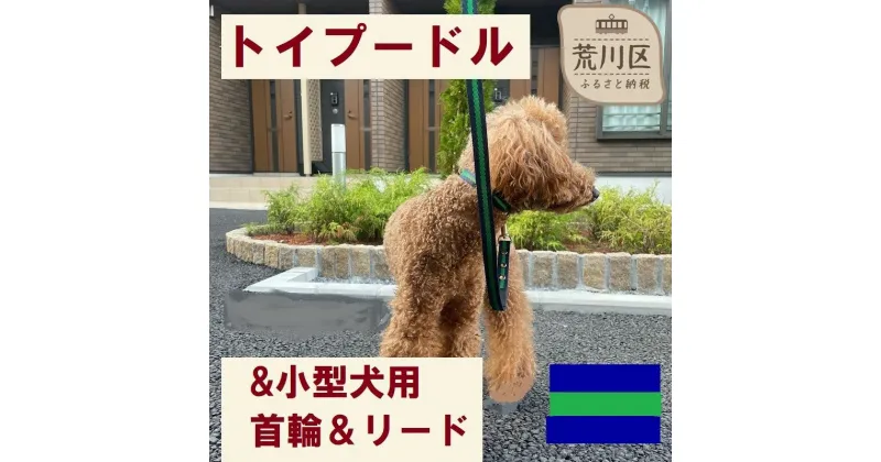 【ふるさと納税】トイプードル及び小型犬用カラー（首輪）＆リード(カラー：紺・緑・紺)【001-016】